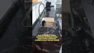 🌑 Tegas. Gelap. Berkarakter. Black Forest Granit