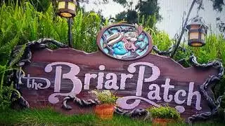 Goodbye Splash Mountain. Thanks for the memories!.