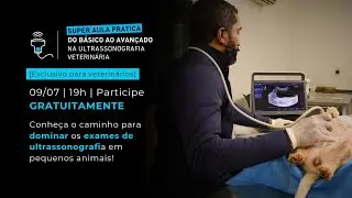 Super Aula: do B&aacute;sico ao Avan&ccedil;ado na Ultrassonografia Veterin&aacute;ria