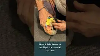 How to Mobilize the Maxilla-Pterygoid Joint for Sphenoid Balance | Cranial Technique Demo