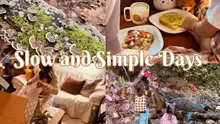 Living Simply 🕯️🧺🥧 unbox a Jilly Box, breakfast in the tent, fall family hike, failed focaccia bread