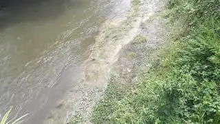 Rio oder