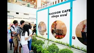 PigSmile EP.1 พาตะลุยในงานคาเฟ่สัตว์