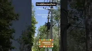 PURNATVA SANCTUARY FARMS. IN DHERADUN, BIHARIGARH.