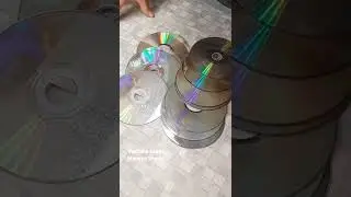 СТАРЫЕ ДИСКИ ПОМОГАЮТ РАССАДЕ РАСТИ КРЕПКОЙ
