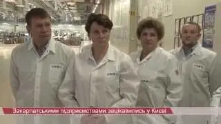 Закарпатськими підприємствами зацікавились у Києві