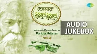 Popular Rabindra Sangeet - Volume 2 | Tumi Rabe Neerabe | Audio Jukebox