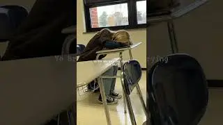 Pov:You studied hard but still get bad grades ༎ຶ⁠‿⁠༎ຶ #fypシ #shorts #studentlife #grades