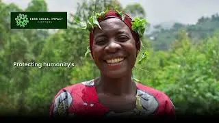Empowering Farmers Through Stronger Agricultural Value Chains