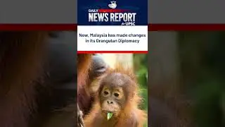 Why did Malaysia modify its Orangutan Diplomacy? | Amrit Upadhyay | Daily News Report