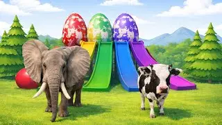 Lion Elephant Cow Stage Dog And Colour full Eggs Learning Kids Cartoon video | Loons Toons 