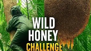 Mạo hiểm t&iacute;nh mạng v&igrave; mật ong rừng | Risking Life to Harvest Wild Honey in Deep Jungle