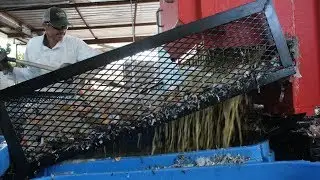 Zero Landfill, Composting Liquids