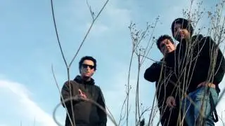 33CL - S.E.R.T