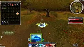 Guild Wars Reforged Optimal Presearing Leveling Guide - Bonus: Levels 8-10 - Piken Charr Farm