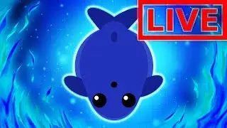 MOPE.IO STREAM #21 | 70+ RABBITS IN ONE PLACE