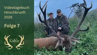 Erlegung eines alten Recken! Hirschbrunft in Masuren / Polen | Tag 7
