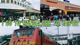 Bangalore to Jaipur tiger video 