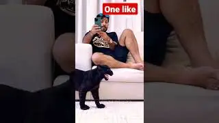 #shorts