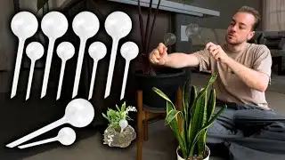 10-Pack Plant Watering Globes Review &ndash; Automatic Self Watering Bulbs for Indoor & Outdoor
