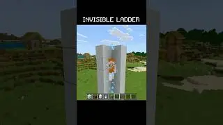 The invisible ladder in Minecraft 🤯
