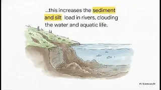 Chp:Natural Vegetation (Part 3 of 3- Forest Conservation,Social & Agro Forestry)|AI Powered Learning
