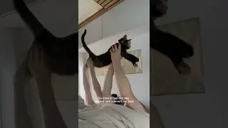 A Normal Day Of Vanlife as a Couple with Two Cats #cat #vanlife #vanbuild