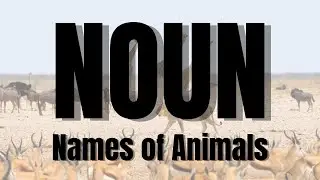 Beginner English Grammar | Nouns - Names of Animals Beginner ESL