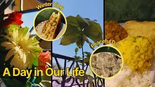 A Peaceful Day at Home: Cooking, Old Memories & More | Sister diaries by Miri