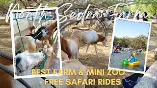 Top Destination In Doha: North Sedra Farm - A Must-visit Spot!