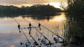Carp Porn - Fullrun/Vollrun Party #1