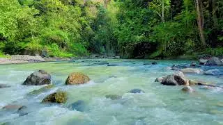🔁 Live ASMR River Sounds | Endless Peaceful Water Ambience for Focus, Sleep, and Calm #riversounds