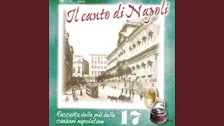Nu pensiero