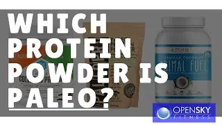 Paleo Protein Powders: Are They 