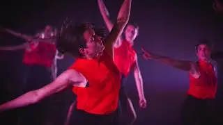 Polydanst 2019
