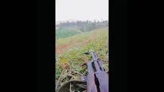 Amba Warriors Ambush on the Cameroon military convoy