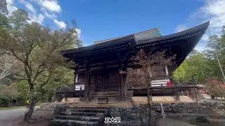 神护寺 - 红叶赏起来