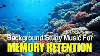Memory Retention Affirmations Hidden in Lofi Study Music | Subliminal Boost