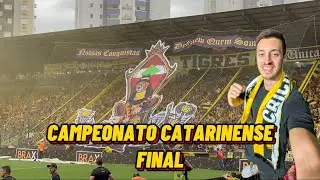 A GRANDE FINAL, A MAIOR FESTA DO CATARINENSE, O TIGRE É CAMPEÃO #criciuma #brusque #catarinense