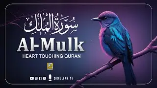 The Most Heart-Melting Quran Recitation You’ll Ever Hear | Surah Al Mulk سورة الملك | Zikrullah TV