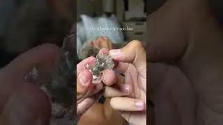 This dog keychain it&rsquo;s the best gift for every dog owner 🐾❤️