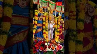 🦚#day5 #muruga #temple #travelblog #history #live #world #yt #vlog #tirupati #iyappan #hanuman #shiv