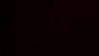 VID00833