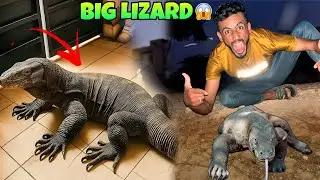 BIGGEST I DINOSAUR I INDIAN MONITORLIZARD KO PAKER LIYA 😱|| RESCUE VLOG 
