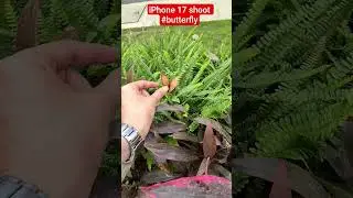poco x6 pro video #trending #automobile #best #best #best #mobile #pocof1 #bestmobiles #2025