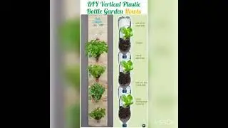 fa&ccedil;a plantio da suas plantas horta na garrafa pet#hortas #plantas #reciclavel #jardinagem