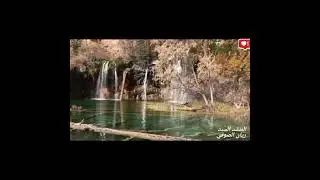 المنشد ريان الصوفي قصيده الله الله الله الله يامولانا