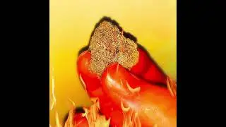 420 - Single