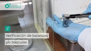 Calibración de balanzas  y/o básculas