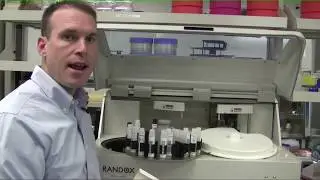 RANDOX Metabolite Analyzer Product Overview